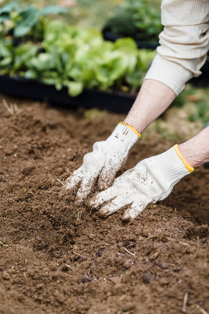 Crop farmer preparing soil for planting