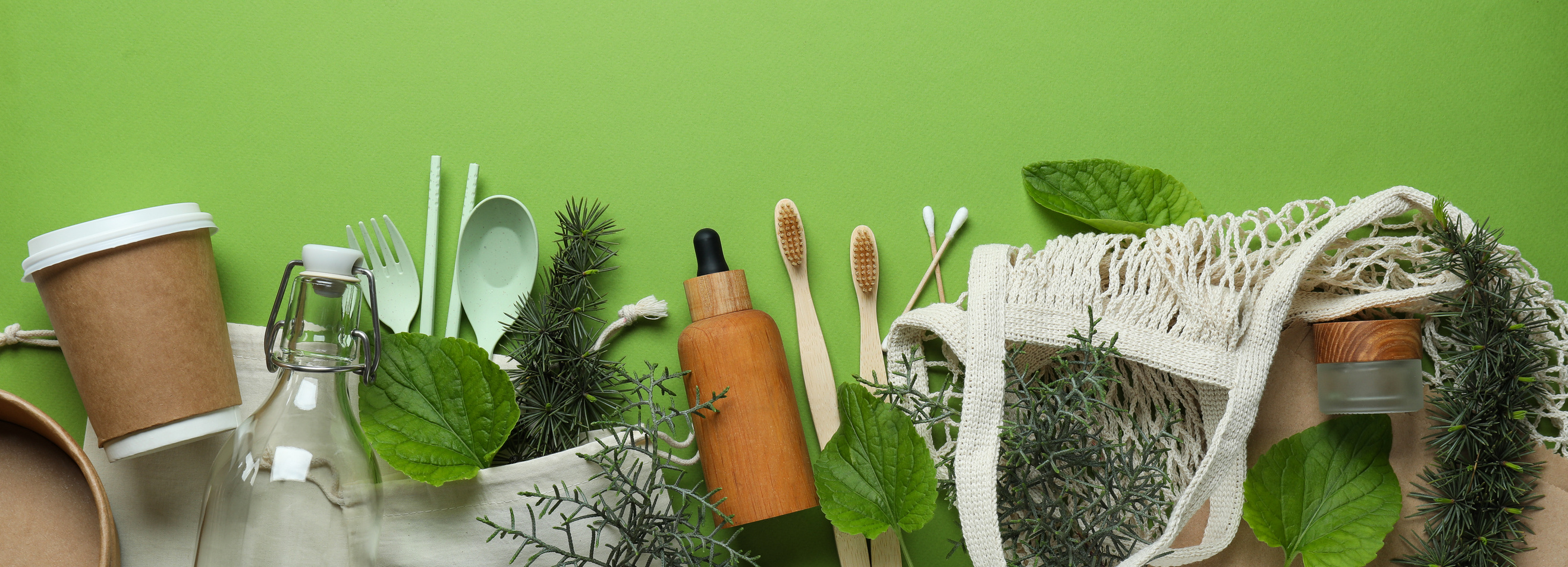 Eco Friendly Zero Waste Concept on Green Background
